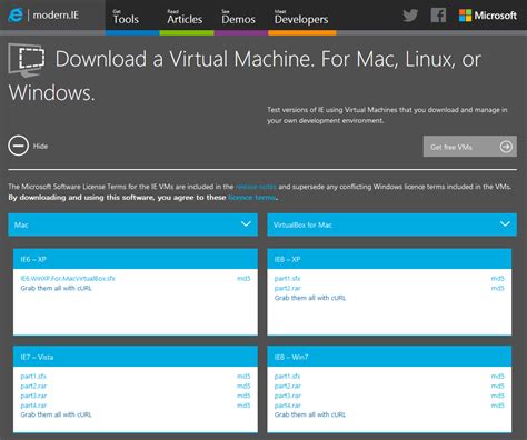 Rezultat imagine pentru Virtual Machine On Web Browser