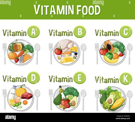 Illustration of various food types categorized by their vitamin content Stock Vector Image & Art ...