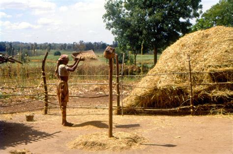 India Faces Fifth-Driest January Since 1901 Amid Severe Winter Rainfall ...