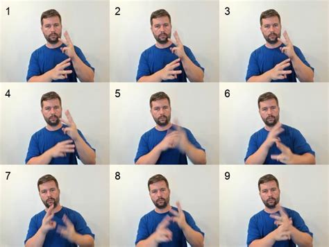 Image result for World Sign Language