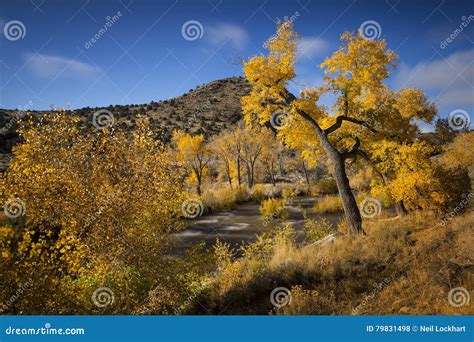 Fall Colors Along Carson River Near Carson City, Nevada Stock Photo ...