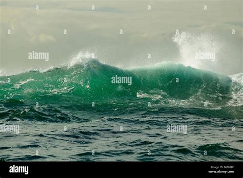 Sea Wave 的图像结果