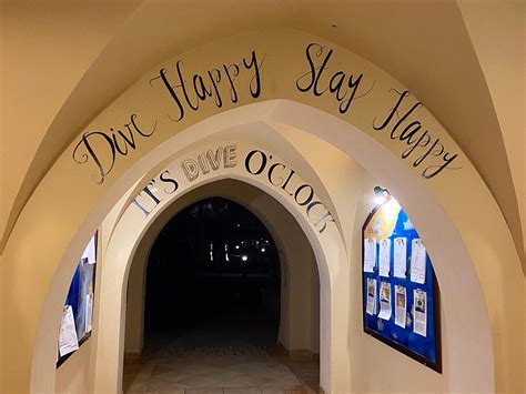 Coraya Divers Coraya Bay (Marsa Alam) - All You Need to Know BEFORE You Go