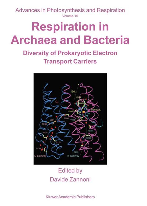 Buy Respiration in Archaea and Bacteria: Diversity of Prokaryotic ...