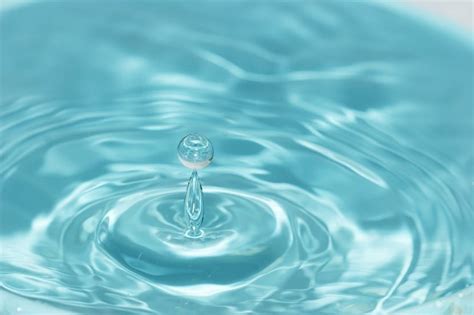 Image result for Java Vode