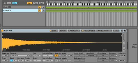 Ableton Sampler Tutorial 的图像结果