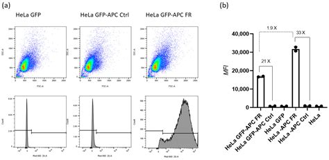 Multi-Functionalized Heteroduplex Antisense Oligonucleotides for ...