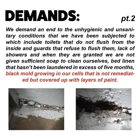 A CALL TO SUPPORT FLORIDA STATE PRISON (FSP) PRISONERS, by Kevin Rashid ...