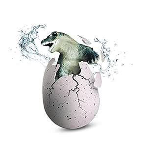 Protocol Dragon Egg - Watch it Hatch and Grow. Place The Egg in a jar ...