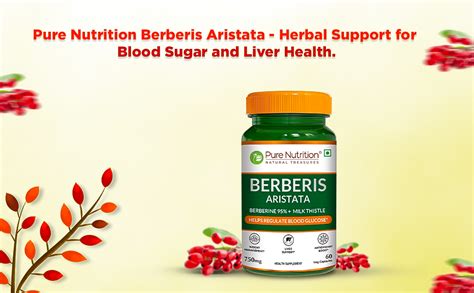 Pure Nutrition Berberis Aristata Supplement - 60 Veg Capsules | 95% ...