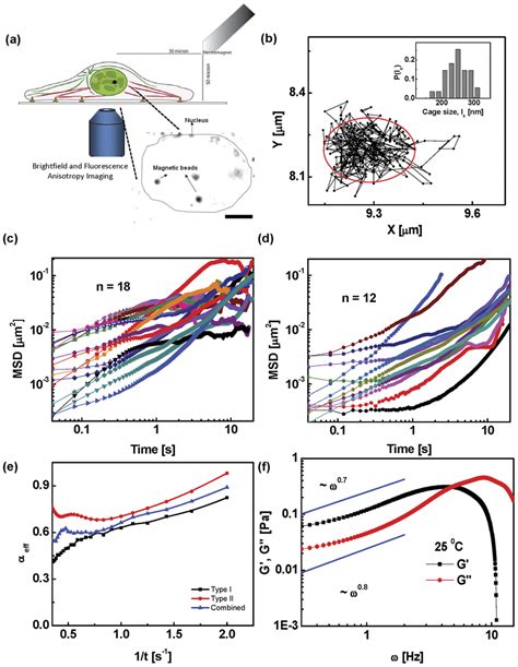 Image result for Single Particle Tracking Algorithm