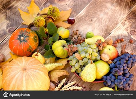 季节性有机水果和蔬菜-秋天丰收 — 图库照片©lola19＃168358628