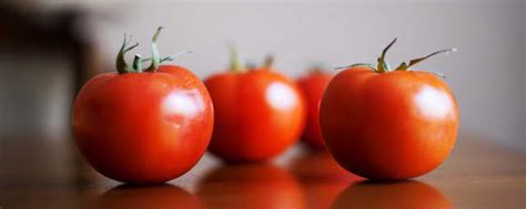 【1053分享】懂行人买西红柿，专挑这样的拿！牢记5个窍门，各个沙甜又多汁！_催熟_时候_果蒂