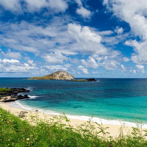 6 Best Beaches in Oahu, Hawaii - Turuhi