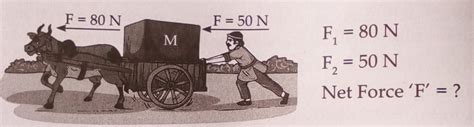1. Observe the picture and calculate the net force by which the bullock ...