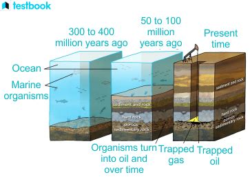 Image result for How Are Fossil Fuels Formed Step by Step