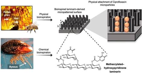 Biomimetic Materials for Skin Tissue Regeneration and Electronic Skin