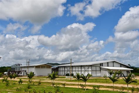 A Bright Future for Belize through Agriculture and Innovation — Silk Grass Farms, Belize