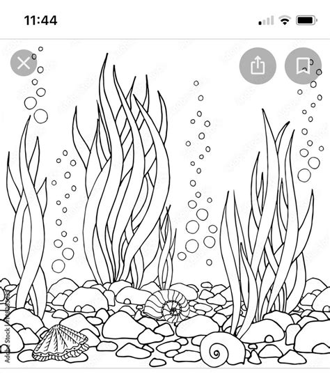 Image result for Draw Coral Reef