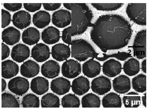 Advances in Fabrication Materials of Honeycomb Structure Films by the ...