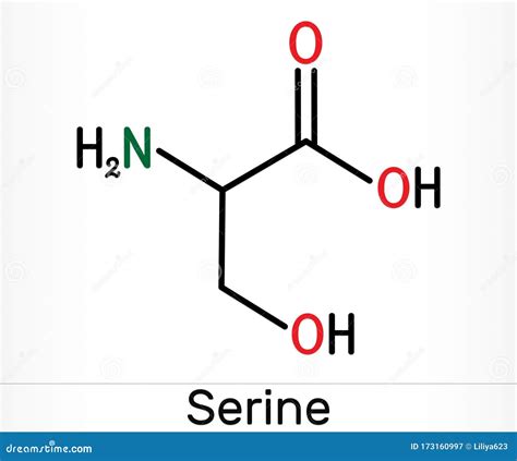 Molécula De Serina, Ser Aminoácidos Se Utiliza En La Biosíntesis De La ...
