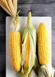 All about Sri Lanka's most popular sari, the Kandyan | The Times of India