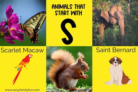 373 Spectacular Animals that Start with S