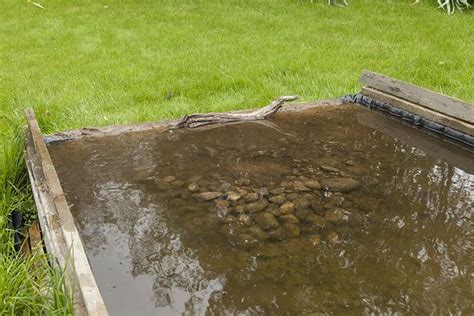 Image result for DIY Reflection Pool