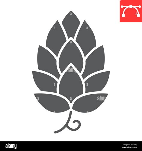 Hop Vector 的图像结果