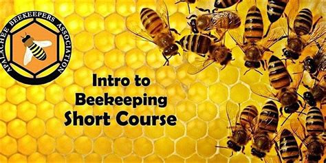 2026 Intro to Beekeeping Short Course, Wakulla County Extension ...