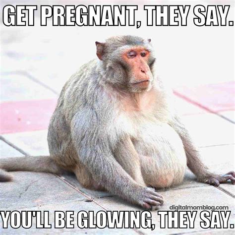 Funny Pregnancy Memes