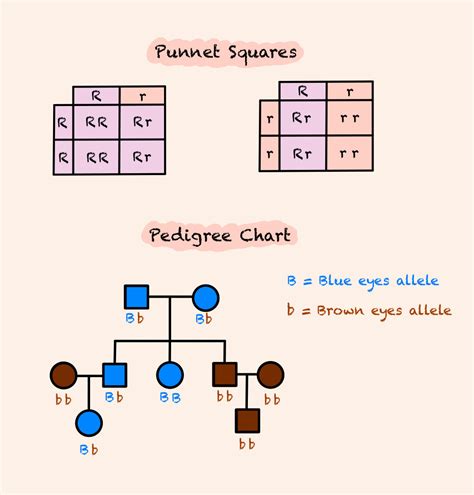Image result for Inset Box-Shadow Color in CSS Generator