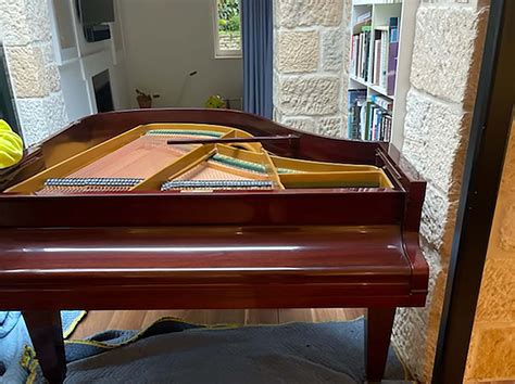 Piano Photo Gallery | Expert Piano Moving Services