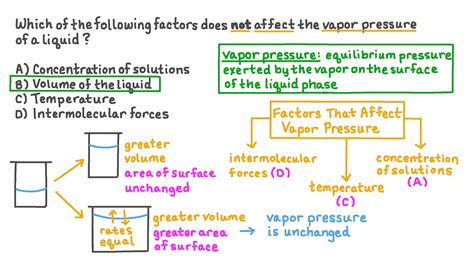 What Affects Vapor Pressure