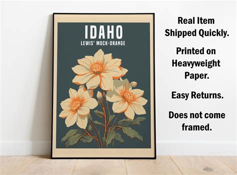 Lewis Mock Orange, Idaho State Flower in Vintage Retro Style, Poster ...