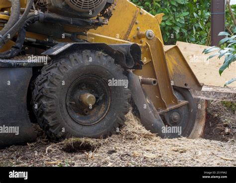 Image result for Tree Stump Grinder