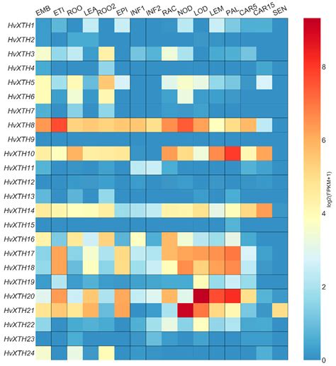 Genome-Wide Identification, Characterization and Expression Analysis of ...
