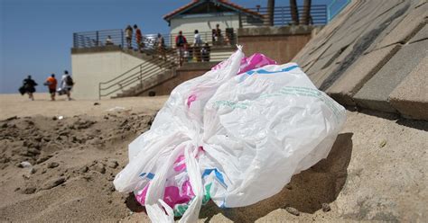 Why Are Plastic Bags So Bad for the Environment? | LIVESTRONG.COM