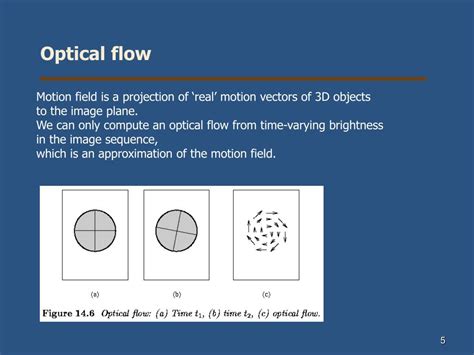 Optical Flow Analysis 的图像结果
