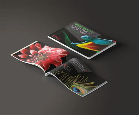 Image result for Direct Mailer