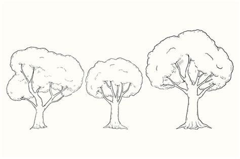 Tree sketch Images - Free Download on Freepik
