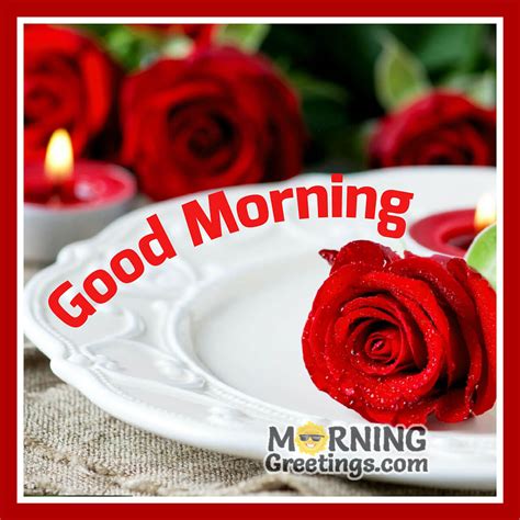 51 Good Morning Wishes With Rose - Morning Greetings – Morning Quotes ...