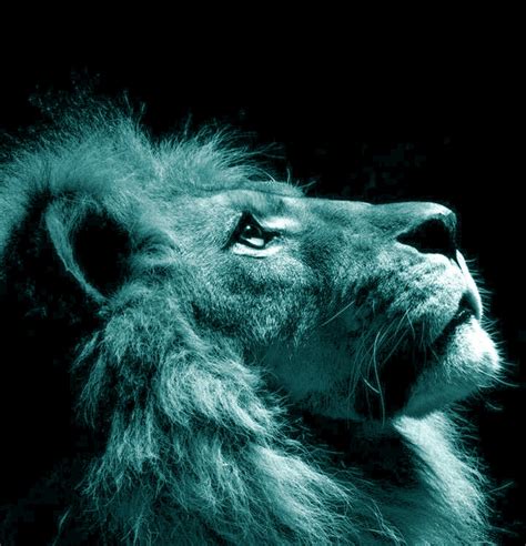 Image result for Python-Crypto