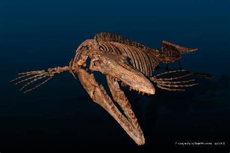 Morden Pictures - Traveller Photos of Morden, Manitoba - Tripadvisor