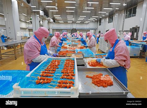 Small Commercial Chicken Processing 的图像结果