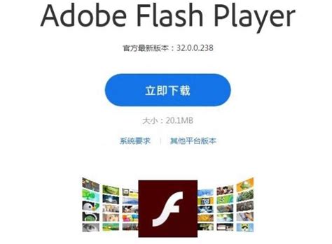 Flash 或许会泄露你的隐私 – 追光者博客