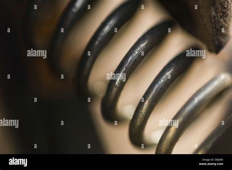 Image result for Spring Stretch