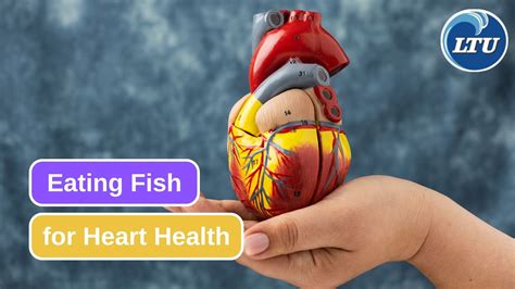 9 Benefits You Can Get from Eating Fish for Your Heart
