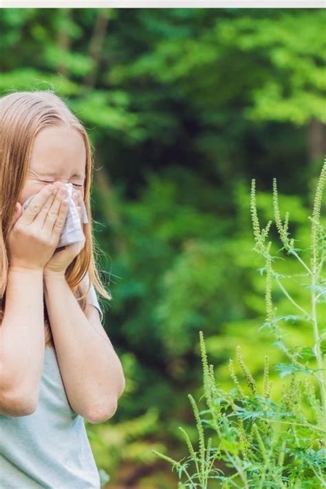 pollen allergies symptoms