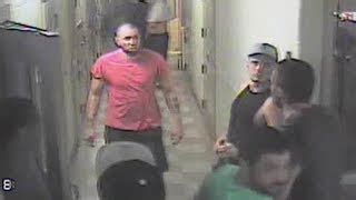 Thibault White - Agent, Manager, Publicist Contact Info